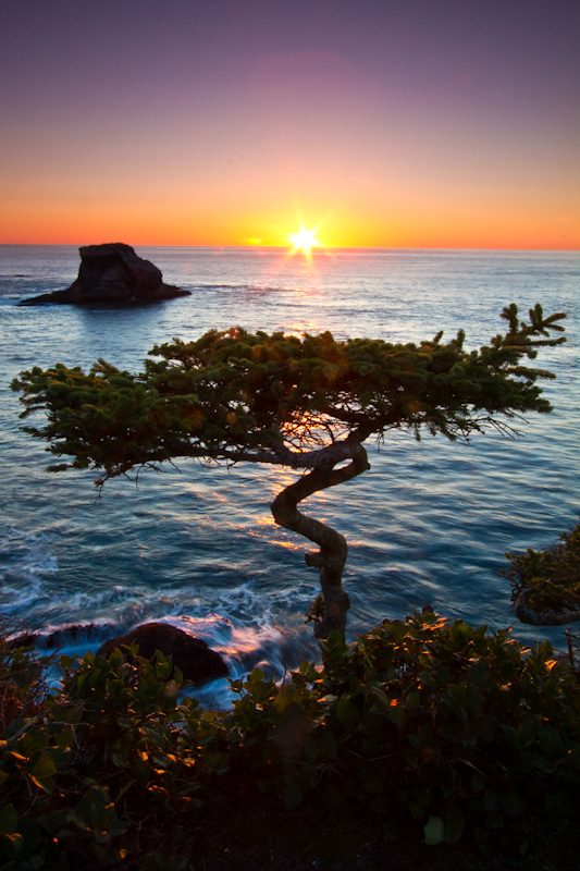 Cape Flattery At Sunset